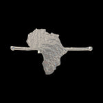 The Asili Ring